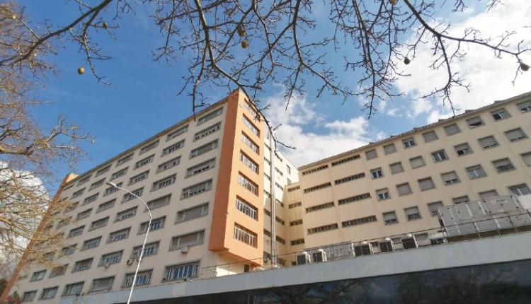 Programmata per il 2 maggio la disinfestazione delle Residenze Universitarie dell’ERSU di Palermo