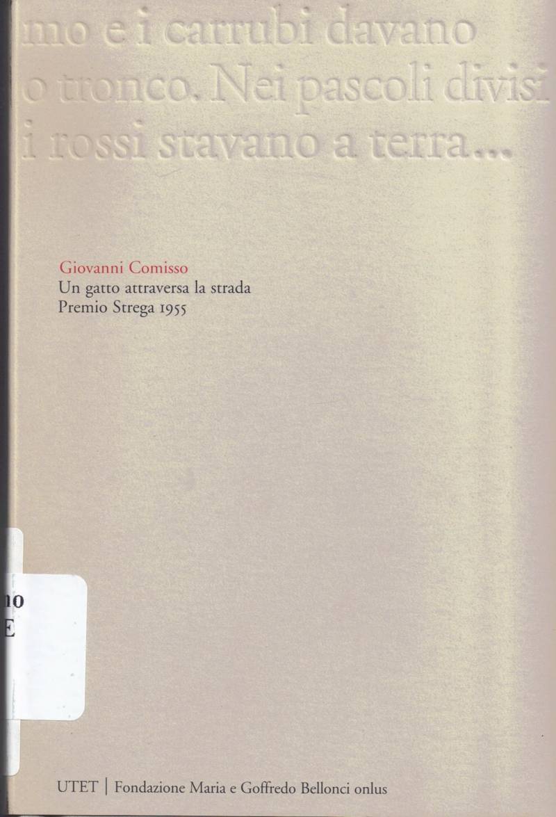 Copertina di Un gatto attraversa la strada