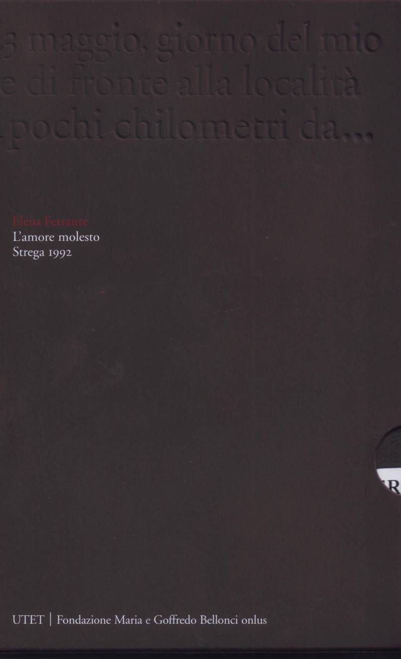 Copertina di L'amore molesto 