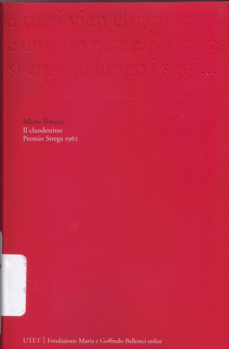 Copertina di Il clandestino 