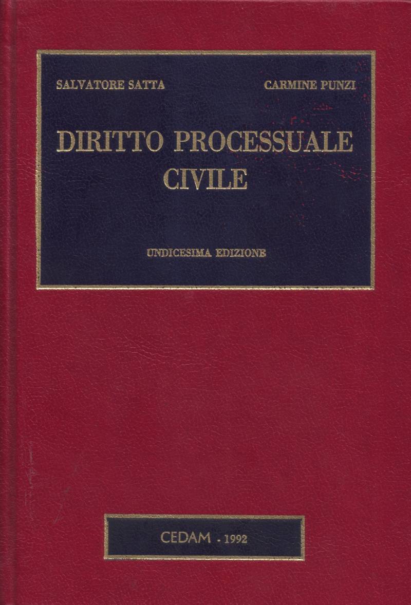 Copertina di Diritto processuale civile - (Undicesima edizione) 