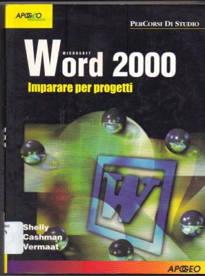 Copertina di Microsoft word 2000